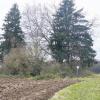 Einmalig: Diese Bäume umkränzen die Doline zwischen dem Maßberg und dem Mühlberg unweit der Kreisstraße 8 zwischen Maßbach und Rannungen.