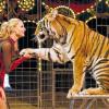Die Augen des Tigers: Carmen Zander mit einem ihrer Königstiger. Sie ist ab dem ersten Weihnachtsfeiertag in den Vorstellungen des Circus Carl Busch auf dem Volksfestplatz zu sehen.