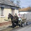 Rumänien erleben: Pferdefuhrwerke gehören in der Maramures zum Alltag.