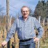 Im Weinberg: Franz Köhler, der am Montag 75 Jahre alt wird, freut sich schon auf das Fest, das alljährlich mit den Helfern im Herbst gefeiert wird.