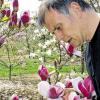 (rs)  „So schön wie dieses Jahr blühen die Magnolien selten“, freut sich Klaus Körber, Baumschulfachmann der Bayerischen Landesanstalt für Weinbau und Gartenbau in Veitshöchheim. Frostfreie Nächte und ungewöhnlich warme Tage bescherten den rund 120 Magnolienbäumen im Versuchsgelände Stutel an der Thüngersheimer Staustufe makellose Blüten. Im Bild ist Klaus Körber mit einer schönen Tulpenmagnolie zu sehen. Die seidig wirkenden, zweifarbigen Blütenblätter des Baumes sind etwas ganz besonderes. Interessierte können die Schönheiten von Montag bis Freitag zwischen 8 und 16 Uhr im Versuchsgelände Stutel besichtigen.