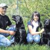 Erfolgreiches Quartett: Freddy Höfling und Tochter Sophie mit den Labrador-Hunden Connor und Jordy.