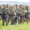 Warten auf den Hubschrauberflug: Fallschirmjäger mit Kampfmittelspürhunden.