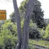 Ein Ort ist erschüttert: Nach dem tödlichen Unfall eines Kindes auf dem Bahndamm herrscht Trauer und Bestürzung in Mühlfeld.