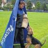 Seinen Bundesentscheid führt der Klub für Terrier am Wochenende in Gemünden durch.