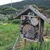 Unter begrüntem Dach: das Insektenhotel.