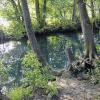 Naturdenkmal: Für das durch Bäume und Büsche eingerahmte „Kühle Loch“ in Münster soll die Schutzgebietsverordnung durch das Landratsamt Main-Spessart fortgeschrieben werden