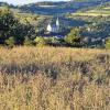 Problemfelder: Ein Rapsfeld bei Eußenheim.
