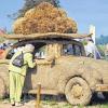 (lsw)   Eine Frau betrachtet sich am Donnerstag in Frohnschwand (Landkreis Waldshut) einen VW-Käfer aus Stroh. Beim Strohskulpturen-Wettbewerb sind zahlreiche Objekte aus Stroh zu bestaunen.