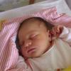 Willkommen in MSP: Unsere Babygalerie vom 18. August