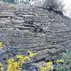Zählt zu den Besonderheiten der Rhön: der beim Basaltabbau zutage getretene Basaltfächer am Lindenstumpf bei Schondra.