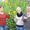 Segensreiches Gewächs: Andrea, Lisa und Jürgen Amthor vor ihren Topinambur-Pflanzen. Verwertet werden die Knollen.