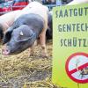 Gentechnikfreier Landkreis: Die Landwirtschaft in Rhön-Grabfeld ist gentechnikanbaufrei. Für Tierfutter gilt dies nicht. Unser Bild wurde aufgenommen in Stuttgart während einer Protestaktion von Bauern, Imkern und Naturschützern.