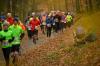So idyllisch geht's zu beim Zeiler Waldmarathon: Die 20. Ausgabe des Laufs wartete mit Herbstambiente wie aus dem Bilderbuch auf. Knapp 500 Läuferinnen und Läufer versuchten sich an der Strecke durch den Naturpark Haßberge.
