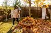 Beliebte Gartenarbeit im November? Laub entfernen, am besten mit dem Rechen. Nicht mit dem Laubbläser.