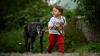 Katrins kleiner Sohn spielt gerne mit den Hunden einer Betreuerin, wenn sie alle gemeinsam auf dem Pferdehof sind. Katrins kleiner Sohn spielt gerne mit den Hunden einer Betreuerin, wenn sie alle gemeinsam auf dem Pferdehof sind.