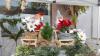 Zahlreiche Menschen besuchen am Sonntag (03.11.24) den Wintermarkt in der Innenstadt von Ochsenfurt.  Mittags öffneten auch die Einzelhändler ihre Türen.