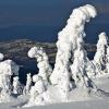 Dick vereiste Bäume sind am Arber, dem höchsten Gipfel im Bayerischen Wald (Niederbayern), zu sehen. Eisige Temperaturen von bis zu minus 20 Grad Celsius herrschen dort derzeit. Am Wochenende soll der Winter auch ins Tal kommen: Der Deutsche Wetterdienst prognostizierte für die tieferen Lagen Schneefall ab 200 Meter.