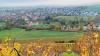 Ein Blick auf das herbstliche Oberschwarzach mit Altort, Siedlungsgebieten, Bikepark, Generationenplatz und Sebastianihaus aus der Perspektive des Herrenbergs.