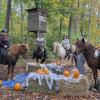 12. Ritt durch den mystischen Tannenwald. 12. Ritt durch den mystischen Tannenwald.