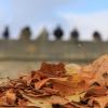 Ob Familientreffen, Wochenendausflug oder Hochzeit – die Alte Mainbrücke in Würzburg zieht Einheimische genauso an wie Urlaubsreisende. Am Samstag (26.10.24) tummeln sich bei Temperaturen um die 14 Grad zahlreiche Menschen auf dem historischen Wahrzeichen der Stadt. Archivaufnahme von 2017.