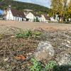 Dieses zuletzt als Lagerplatz des Glasfaserbaus genutzte Areal an der Ruppertshüttener Straße soll in eine Refugium für Trockenheit liebende Arten verwandelt werden.
