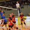 Immer besser in Fahrt kommen die First Ladies (blaue Trikots, in einem Heimspiel der vergangenen Saison) in der Bayernliga Nord.