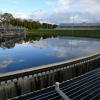Über drei Millionen Kubikmeter klares, gereinigtes Abwasser werden jährlich aus den Nachklärbecken der Kläranlage Winterhausen in den Main geleitet.