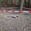 Im Zusammengang mit der Suche nach einem Mann wurde ein selbstgebauter Zylinder untersucht (Foto aktuell).
