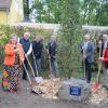 Baumpflanzung anlässlich der 25-jährigen Gemeindepartnerschaft zwischen Gochsheim und Irigny am Bouleplatz in Gochsheim durch (von links): Sabine Mattenheimer, Michel Dupuped, Gérard Bermond, Rolf Pontes, Pierre Verd, Manuel Kneuer und Blandine Freyer.