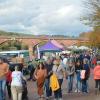 Am Sonntag, 13. Oktober, findet in Marktheidenfeld der Martinimarkt statt. Die Marktstände sind wieder am Mainkai zu finden.