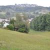 Auf dieser Wiese in Pfaffendorf will ein Privatmann bis zu 30.000 Kubikmeter Erdaushub deponieren.