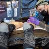 Viele Aussteller und Besucher trafen sich am Samstag bei der Tattoo und Art Convention in der Sennfelder Frankenhalle. Die Möglichkeit sich tätowieren zu lassen wurde gut genutzt.