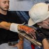 Viele Aussteller und Besucher trafen sich am Samstag bei der Tattoo und Art Convention in der Sennfelder Frankenhalle. Die Möglichkeit sich tätowieren zu lassen wurde gut genutzt.