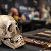 Viele Aussteller und Besucher trafen sich am Samstag bei der Tattoo und Art Convention in der Sennfelder Frankenhalle. Die Möglichkeit sich tätowieren zu lassen wurde gut genutzt.
