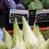 Die Öko-Modellregion stadt.land.wü. setzt sich dafür ein, das Bewusstsein für saisonale und regionale Bio-Lebensmittel zu stärken. Frisch vom Acker gibt es hier Spitzkraut, Kraut und Wirsing. Die Öko-Modellregion stadt.land.wü. setzt sich dafür ein, das Bewusstsein für saisonale und regionale Bio-Lebensmittel zu stärken. Frisch vom Acker gibt es hier Spitzkraut, Kraut und Wirsing.