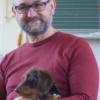 Schulhund Theo in der Grundschule Karlstadt.