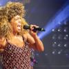 Sieht aus wie Tina Turner und singt auch so: Sharon Ballard verkörperte bei der Show "One Night of Tina" in Würzburg den weltberühmten Popstar.