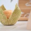 Als Symbol für die Palliativstation steht die Physalis – ein Motiv, das das Thema „Beschützen“ aufgreift.