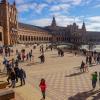 Das Vorhaben des Bürgermeisters von Sevilla löst viel Kritik aus. (Archivbild)