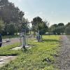 Zu nah am Bereich der Outdoor-Fitnessgeräte und der Seilbahn m Spielplatz "Kürnesweg" in Aubstadt ist eine Photovoltaikanlage. Sie wird nun auf das Privatgelände verlegt.