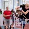 Beim Hobby-Horsing braucht es Ausdauer - die Sportart kommt aus Finnland. (Archivbild)