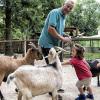 Die Erkundung des Streichelzoos steht am Weltkindertag im Wildpark auf dem Programm.