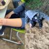 Impressionen vom Schulfest