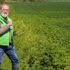  Hundskerbel westlich von Goßmannsdorf. Für Otto Elsner ein untrügliches Zeichen für den Klimawandel.