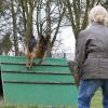 Umstritten ist in Eckartsroth die Errichtung einer Hundetrainingshalle. Die Ablehnung durch den Gemeinderat wurde nun aber für rechtswidrig erklärt.
