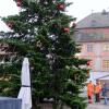 Mitarbeiter des Städtischen Bauhofs stellten am Montag bei Schmuddelwetter den Christbaum auf dem Marktplatz von Bad Königshofen auf.