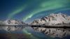Die Lofoten in Nordnorwegen sind ein Paradies für Nordlichtliebhaber.