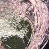 Im Würzburger Stadtteil Versbach wurde eine Überschreitung des Grenzwertes für Enterokokken im Trinkwasser festgestellt.
