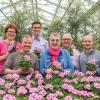 Verkauft werden die Benefiz-Geranien in den Betrieben der Gartenbaugruppe Würzburg: Blumenhaus Decker, Blumenwerkstatt Rippel, Gärtnerei Carl, Gärtnerei Gammanick, Gärtnerei Heßdörfer, Gärtnerei Hupp, Gärtnerei Steger und Gartenbaumschule Ringelmann.